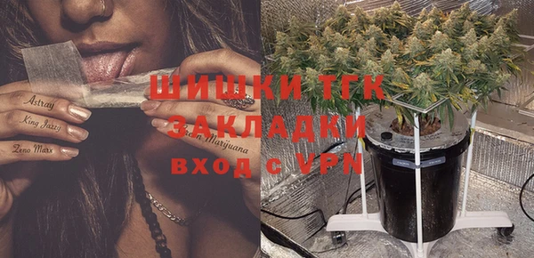 PSILOCYBIN Липки