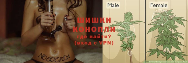 ПСИЛОЦИБИНОВЫЕ ГРИБЫ Лиски