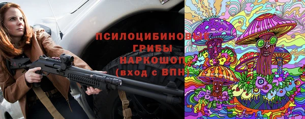 ПСИЛОЦИБИНОВЫЕ ГРИБЫ Лиски