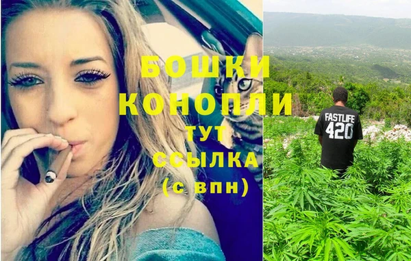 PSILOCYBIN Липки
