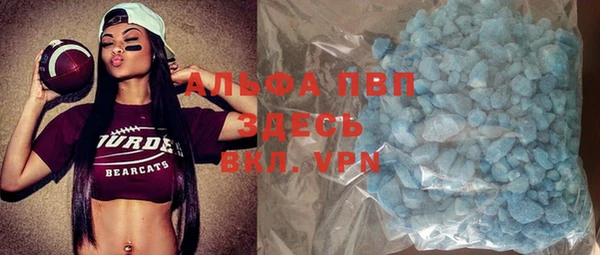 PSILOCYBIN Липки