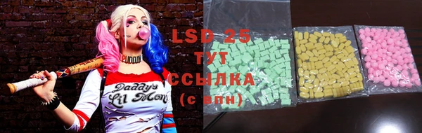 PSILOCYBIN Липки