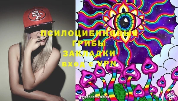 ПСИЛОЦИБИНОВЫЕ ГРИБЫ Лиски