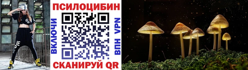 Галлюциногенные грибы прущие грибы  Купить закладки  Шиханы 